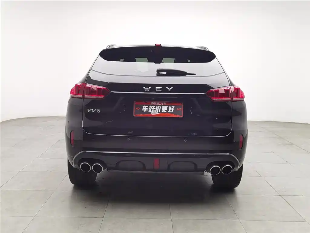 WEI PAI WEI BRAND VV5