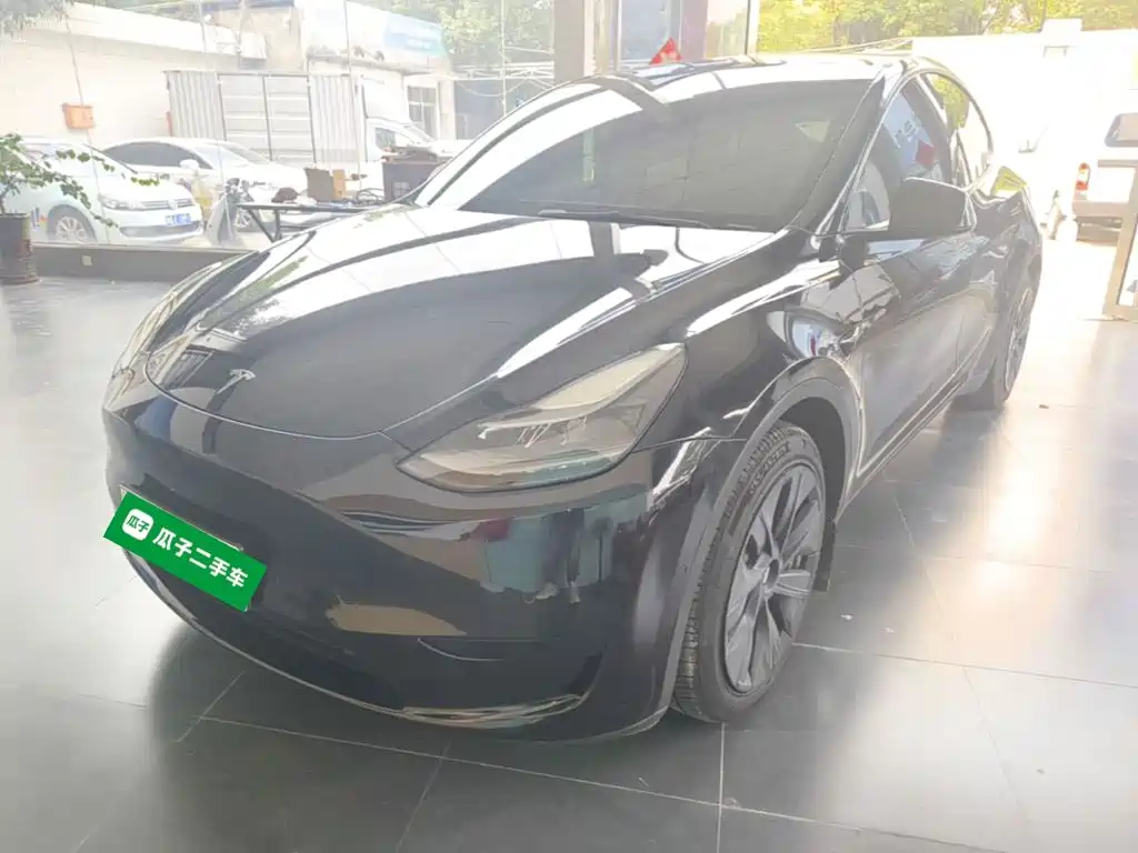 Tesla Model Y — миниатюра 2