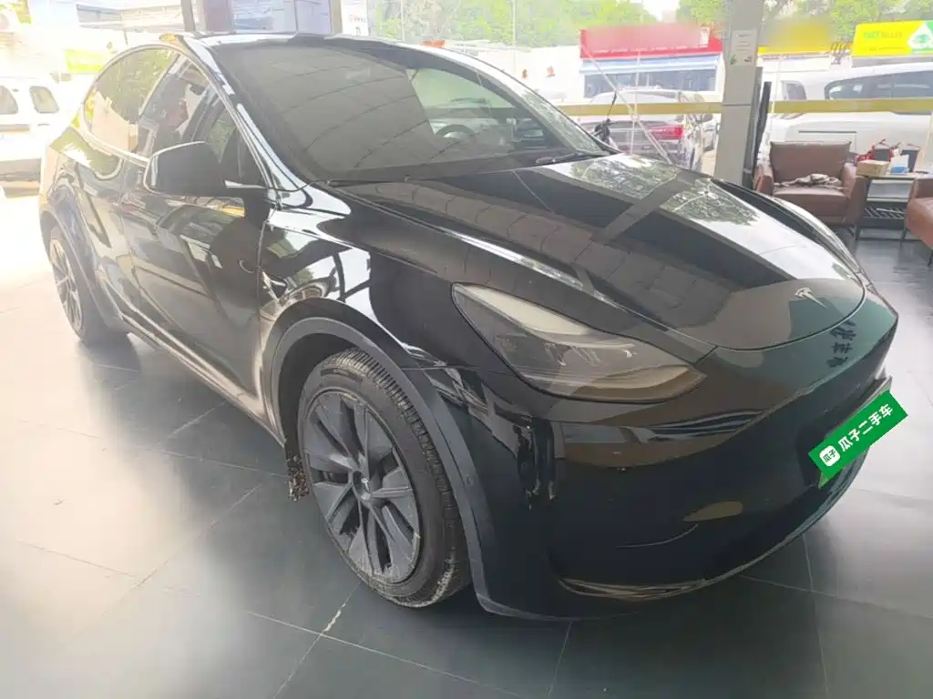 Tesla Model Y — миниатюра 4