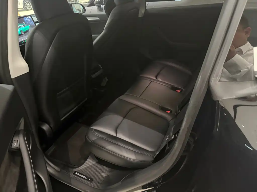 Tesla Model Y — миниатюра 8