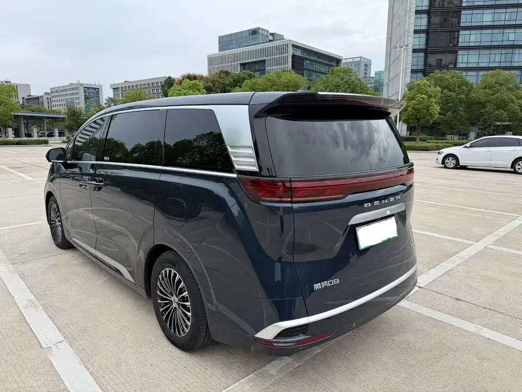 Denza Denza D9 — миниатюра 9