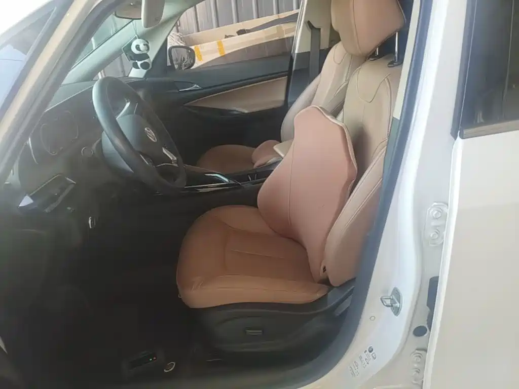 Buick GL6 — миниатюра 15
