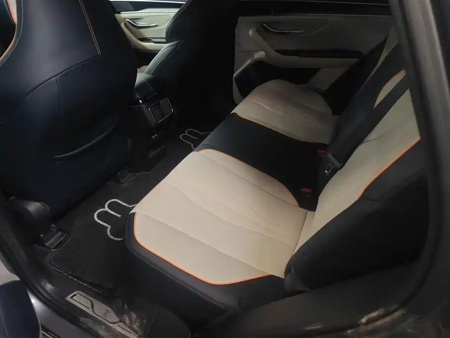 BYD SONGJIANG NEW ENERGY