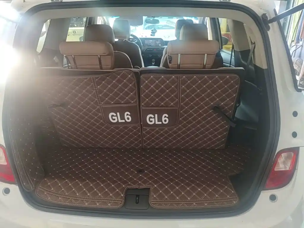 Buick GL6 — миниатюра 19