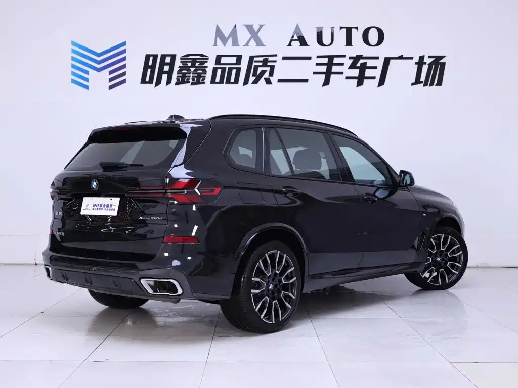 BMW X5 — миниатюра 7