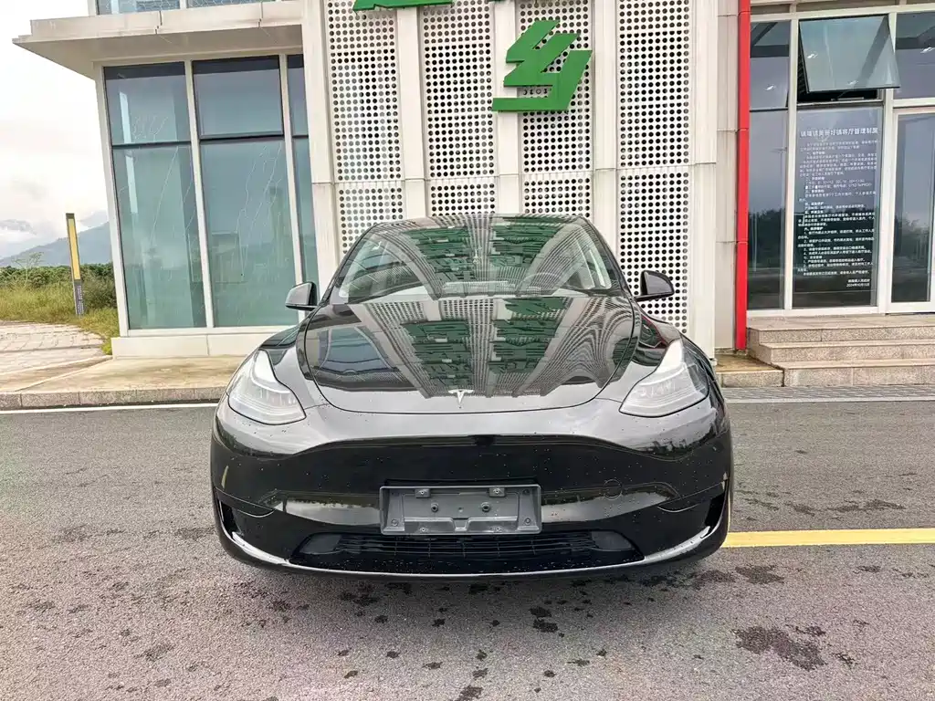 Tesla Model Y — миниатюра 2