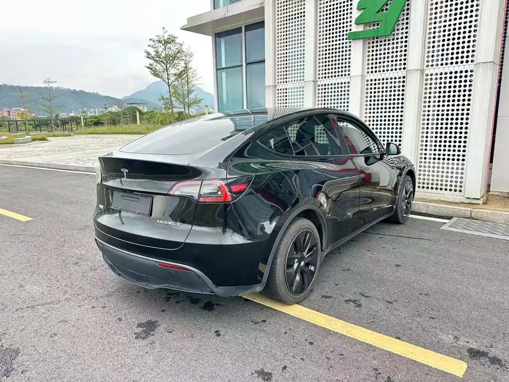 Tesla Model Y — миниатюра 28