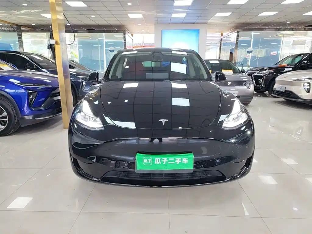 Tesla Model Y — миниатюра 3