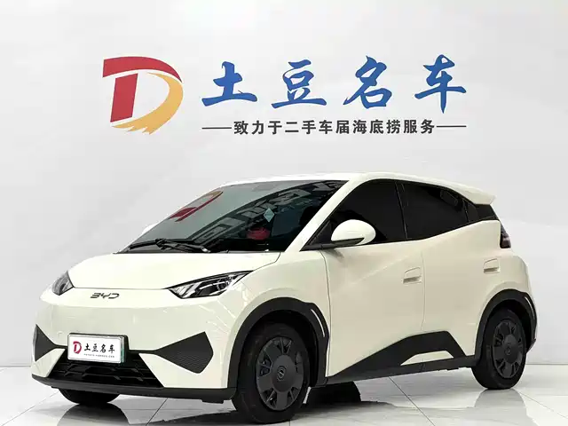 2025 BYD Seagull