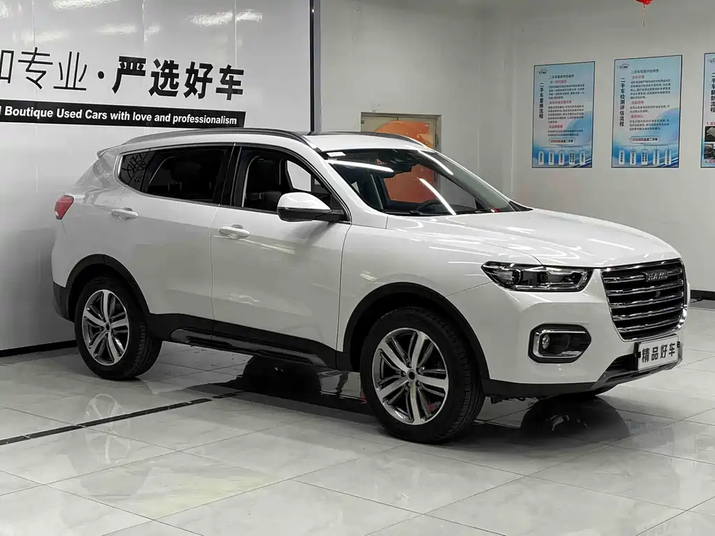 Haval H6 — миниатюра 3