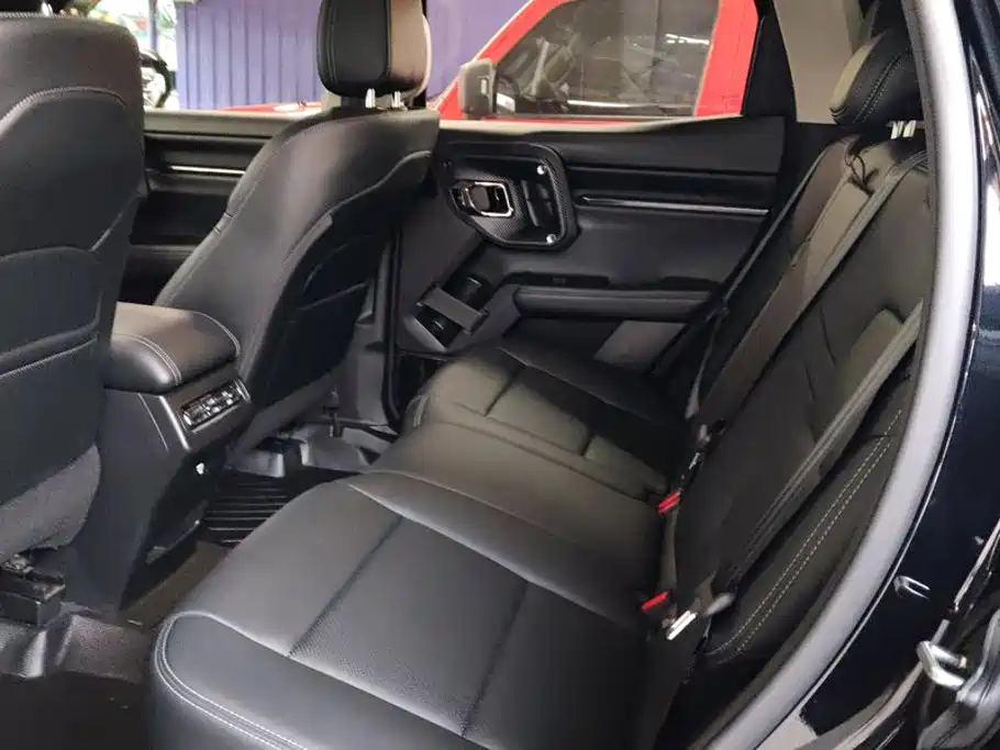 Haval Big Dog PLUS — миниатюра 11