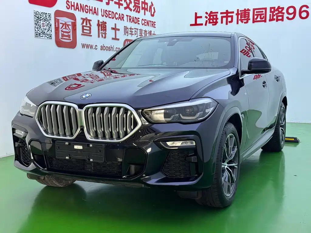 BMW X6