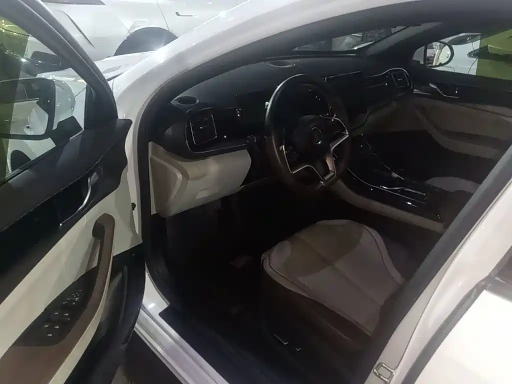 BYD Qin PLUS — миниатюра 16
