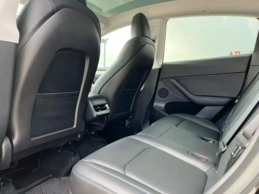 Tesla Model Y — миниатюра 5