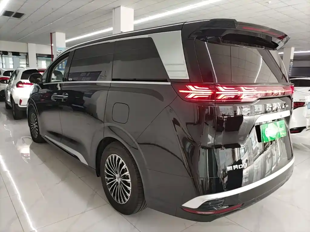 Denza Denza D9 — миниатюра 5