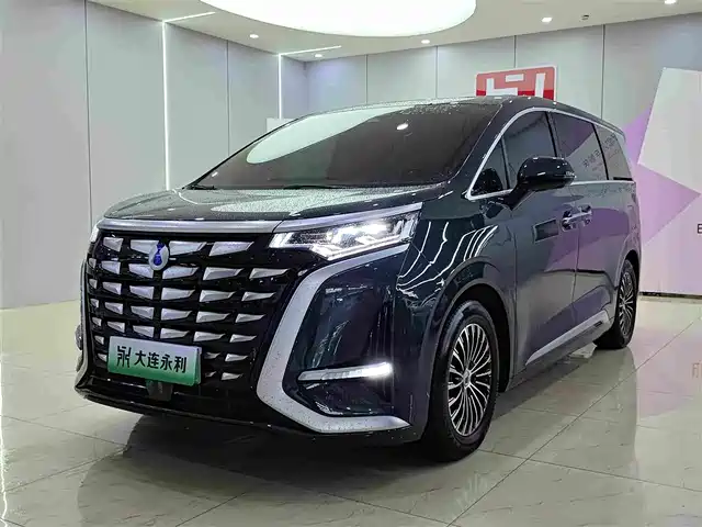 Denza D9
