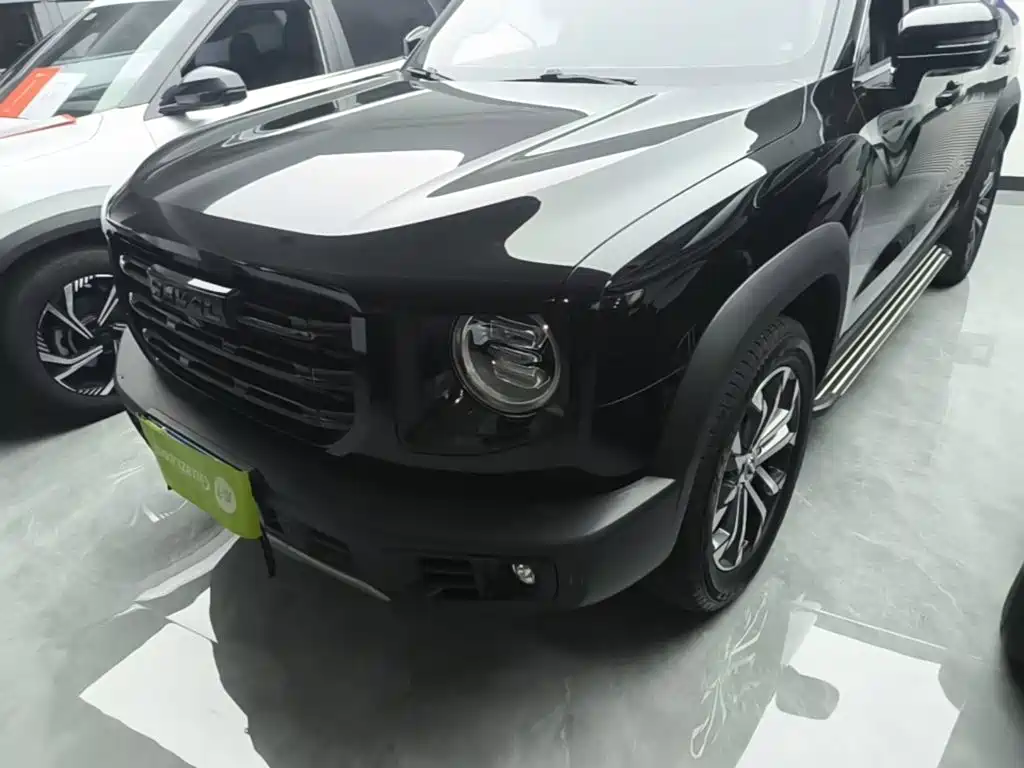 Haval Big Dog — миниатюра 24