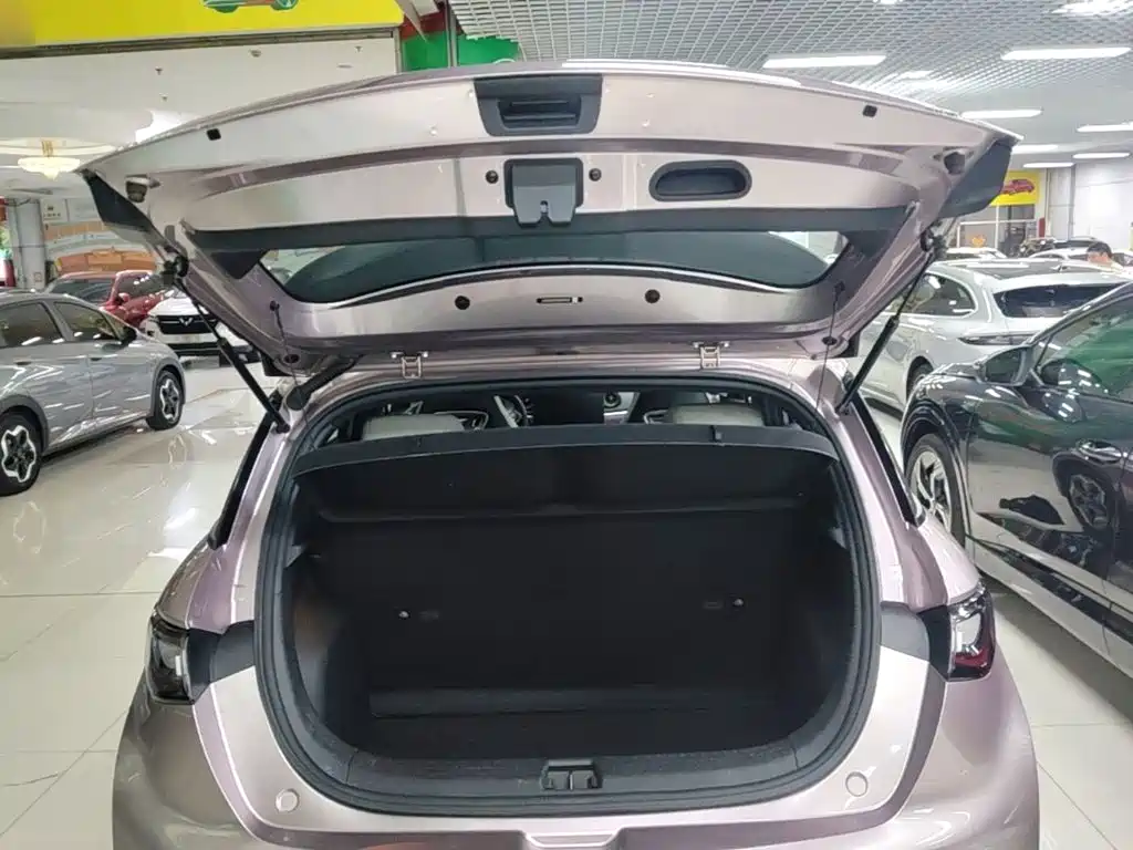 BYD Dolphin — миниатюра 19