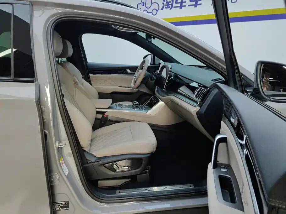 BYD Tang New Energy — миниатюра 8