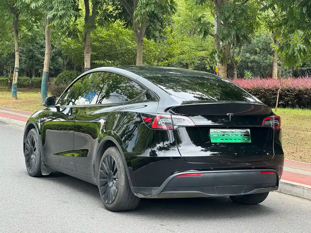 Tesla Model Y — миниатюра 14