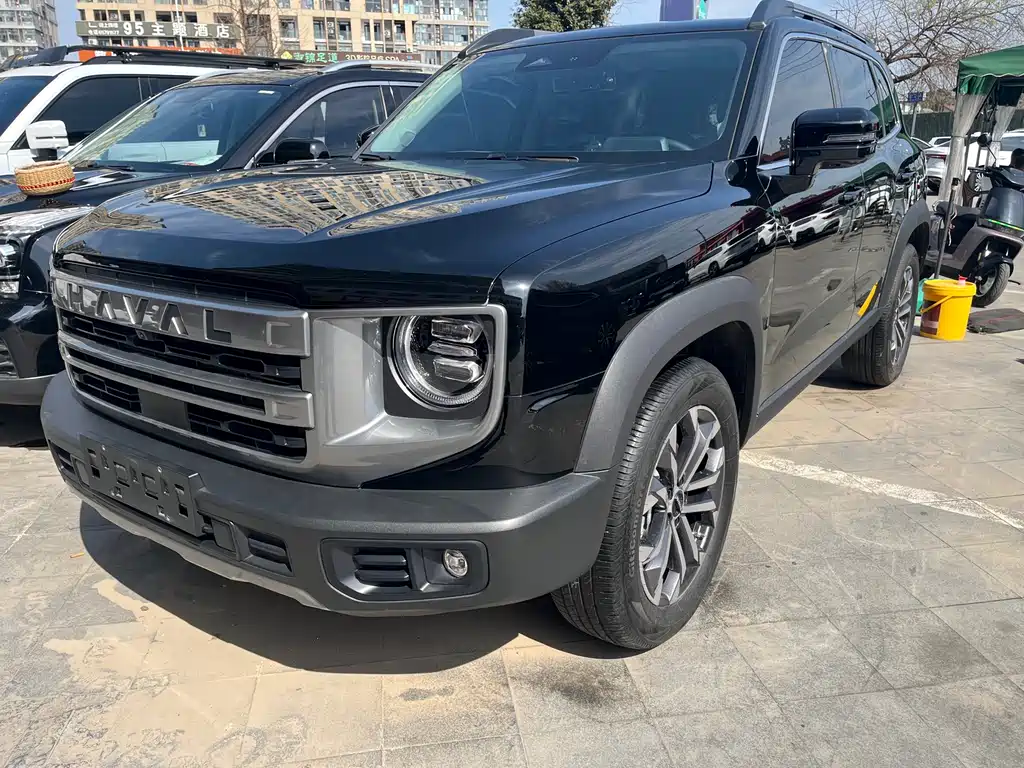 HAVAL BIG DOG
