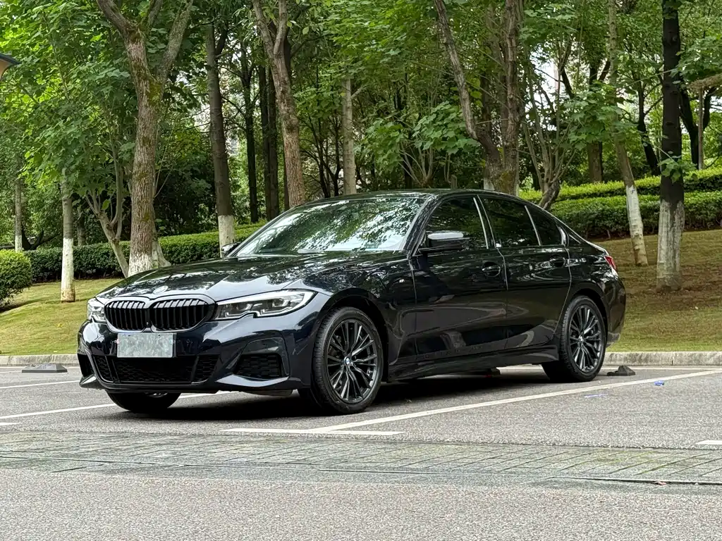 BMW 3 Series — миниатюра 2