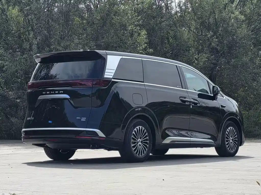 Denza Denza D9 — миниатюра 5