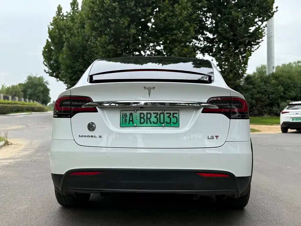 Tesla Model X — миниатюра 8