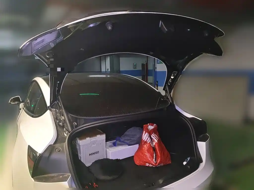 Tesla Model 3 — миниатюра 15