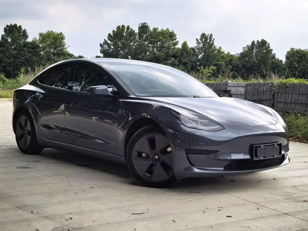 Tesla Model 3 — миниатюра 3