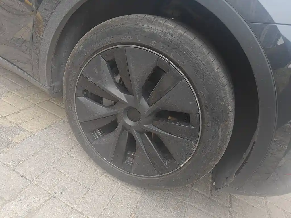 Tesla Model Y — миниатюра 24