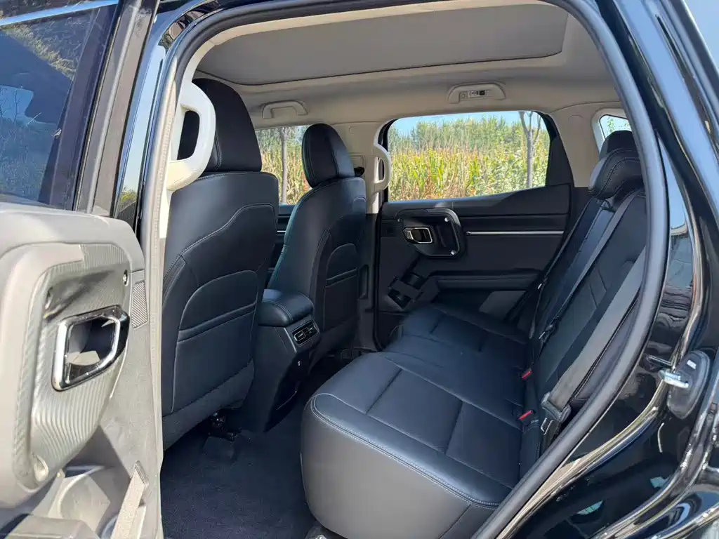Haval Big Dog PLUS New Energy — миниатюра 6
