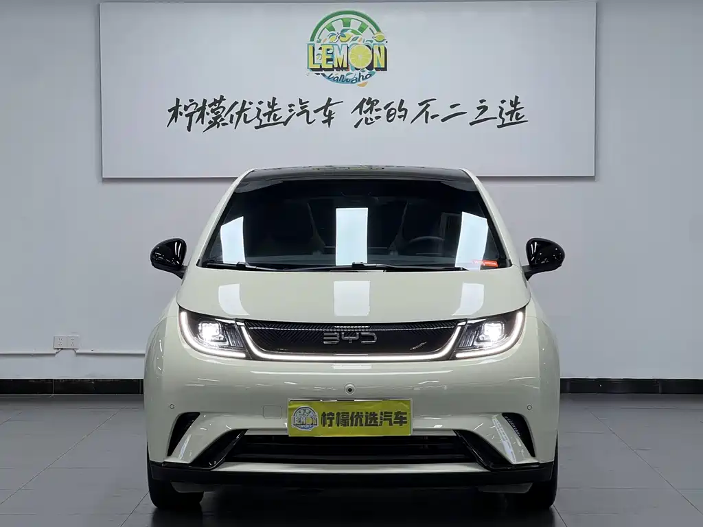 BYD Dolphin — миниатюра 3