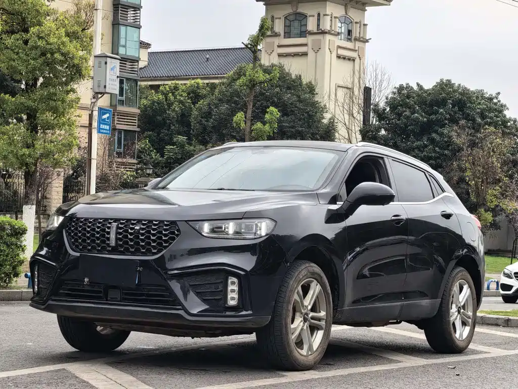 WEI PAI WEI BRAND VV5