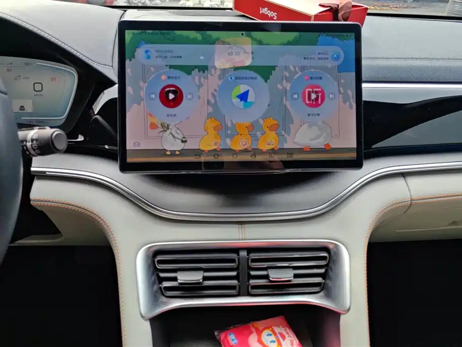 BYD SONGJIANG NEW ENERGY