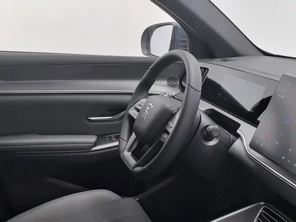 BYD Pro New Energy — миниатюра 22