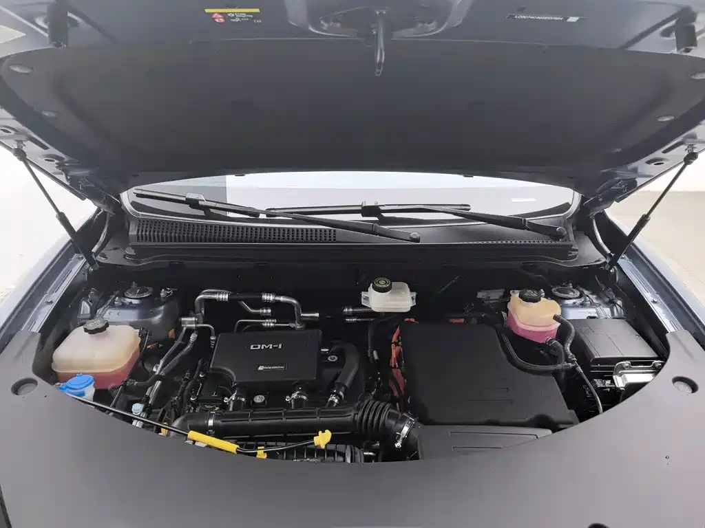 BYD Pro New Energy — миниатюра 6