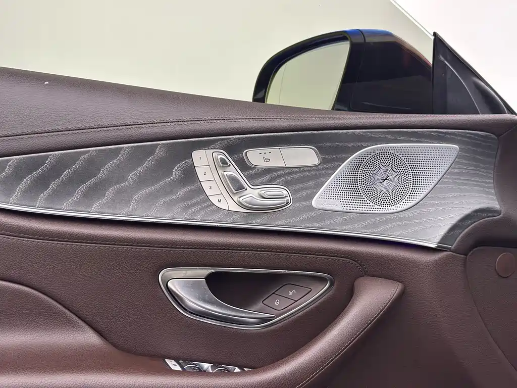 Mercedes-Benz CLS CLS 300 Dynamic Type, фото 10