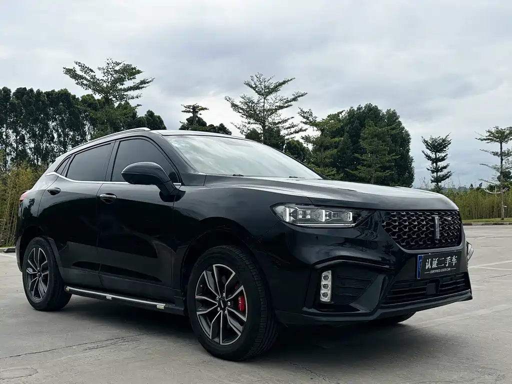 WEI PAI WEI BRAND VV5