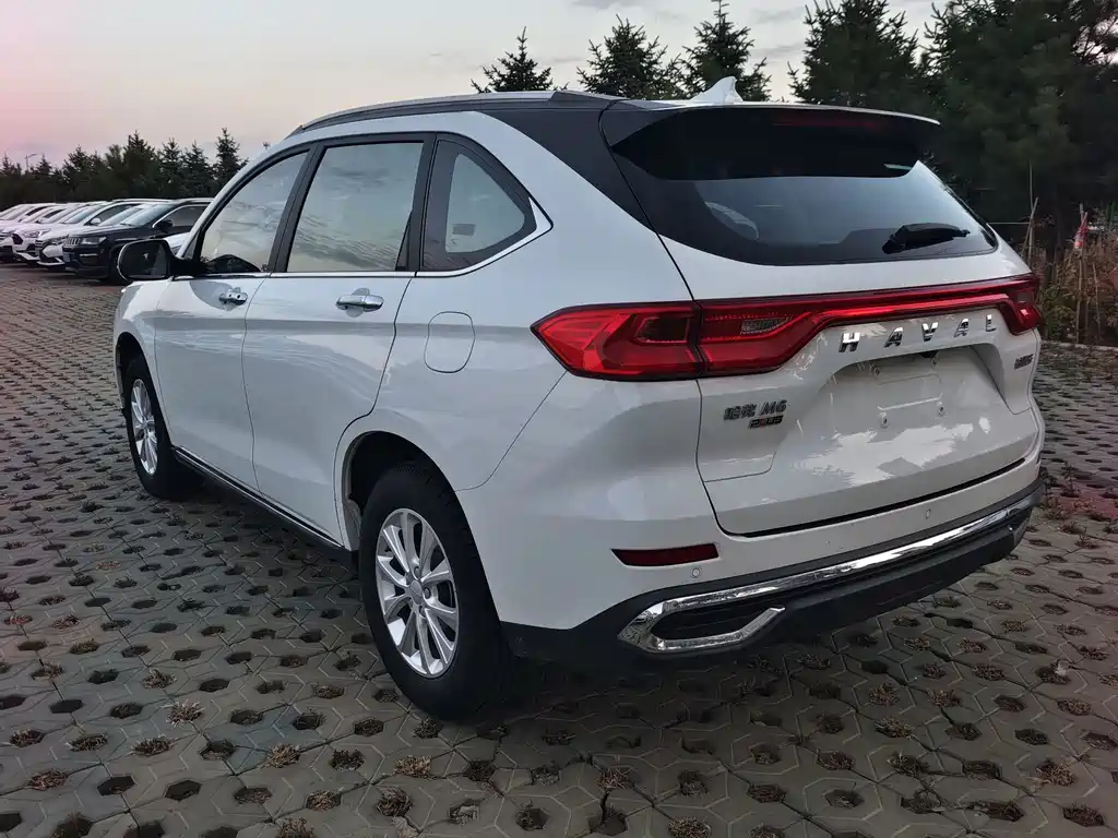 Haval M6 — миниатюра 7