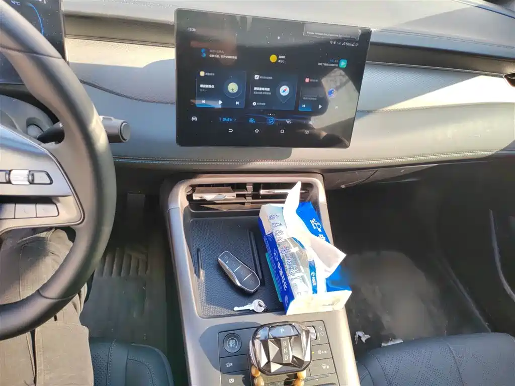 BYD Qin Plus PLUS 2025 DM-i Smart Drive 55KM Lead