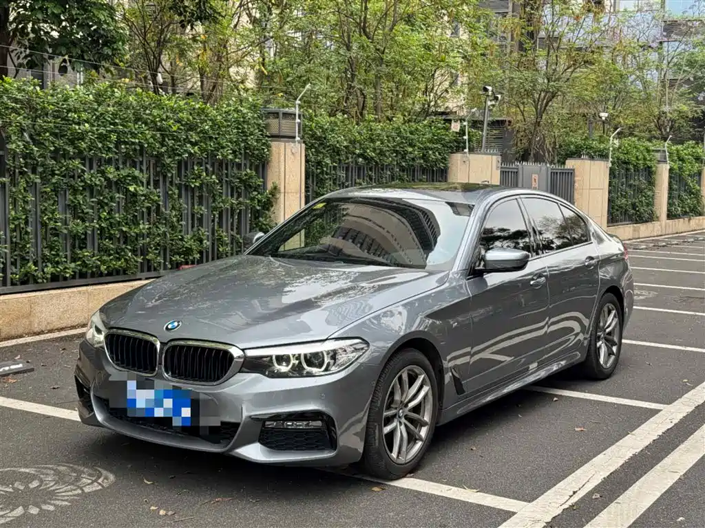 BMW 5 Series (Import) 2018