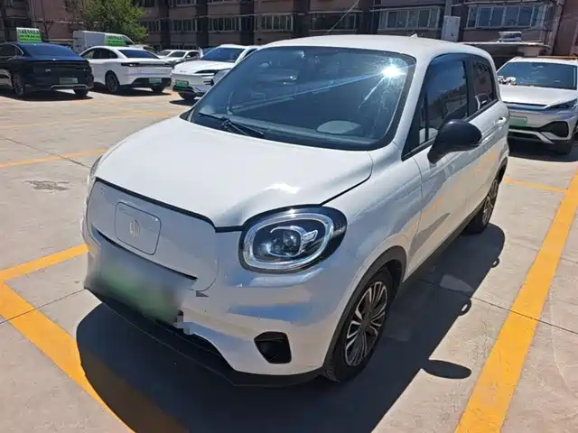 2021 Leapmotor T03