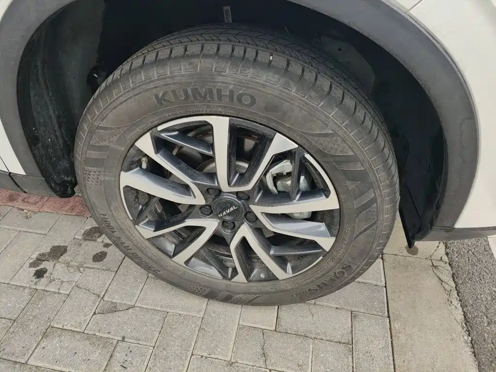Haval H6 — миниатюра 8