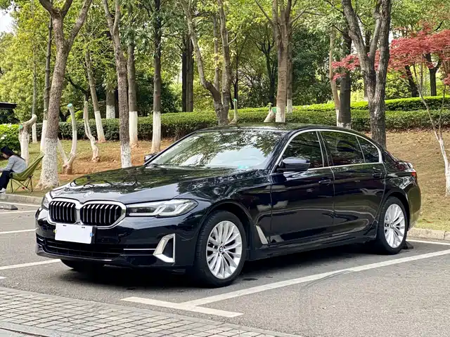 BMW 5 SERIES