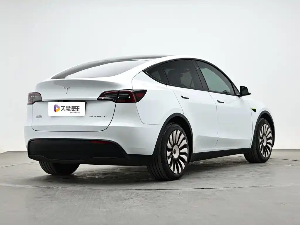 Tesla Model Y — миниатюра 3