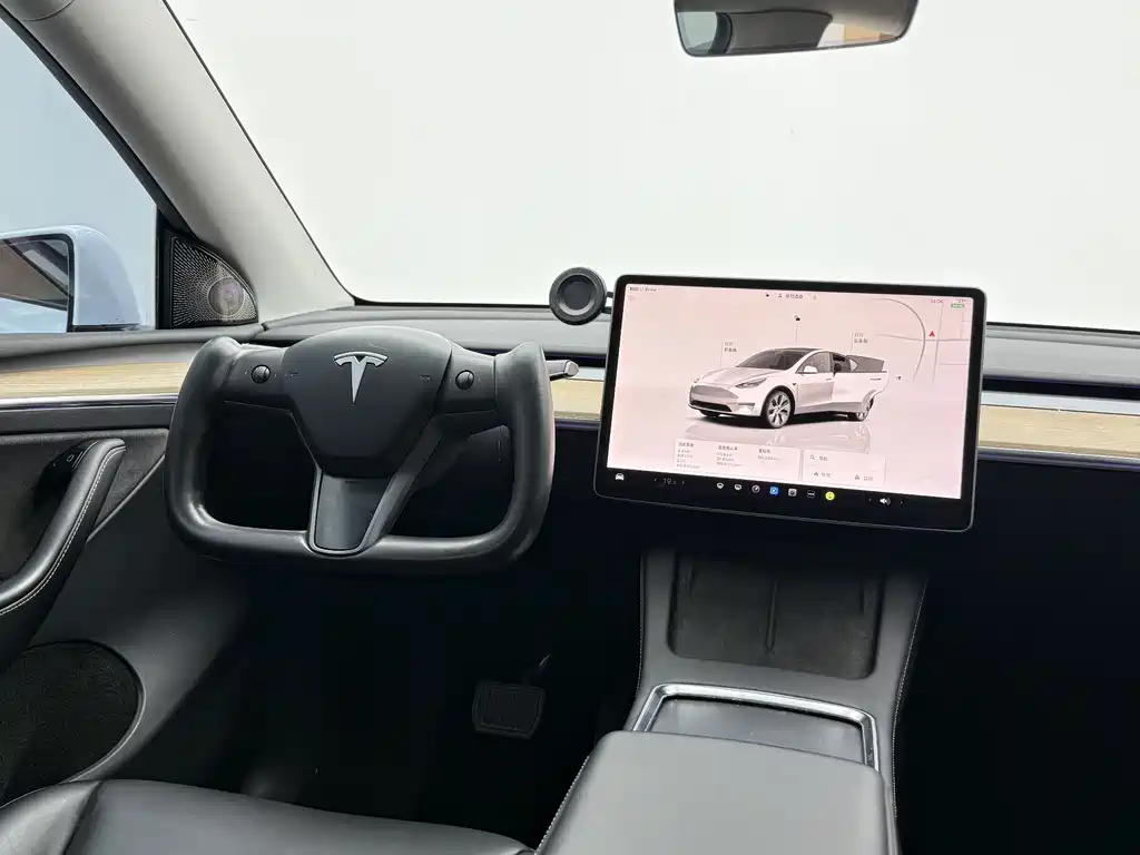 Tesla Model Y — миниатюра 10
