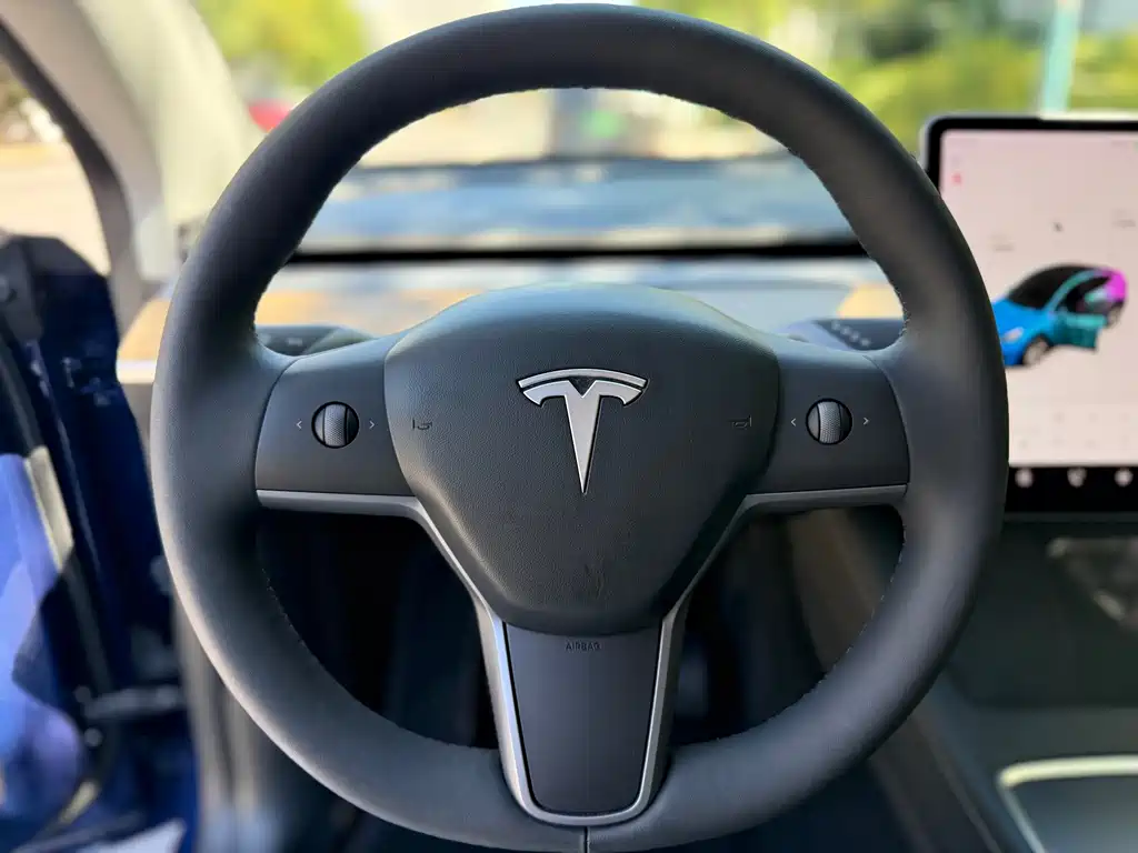 Tesla Model Y — миниатюра 11