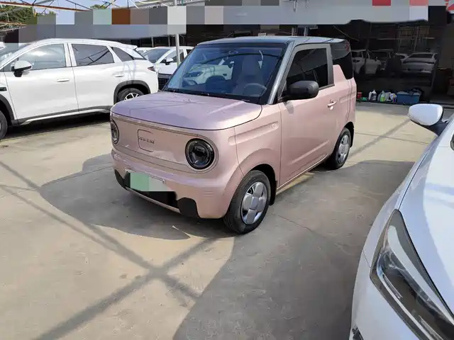 GEELY GALAXY PANDA 2023