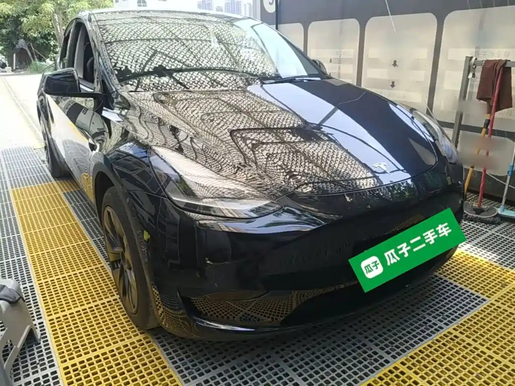 Tesla Model Y — миниатюра 4